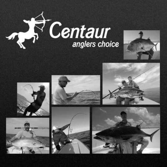 copertina anteriore del centauro